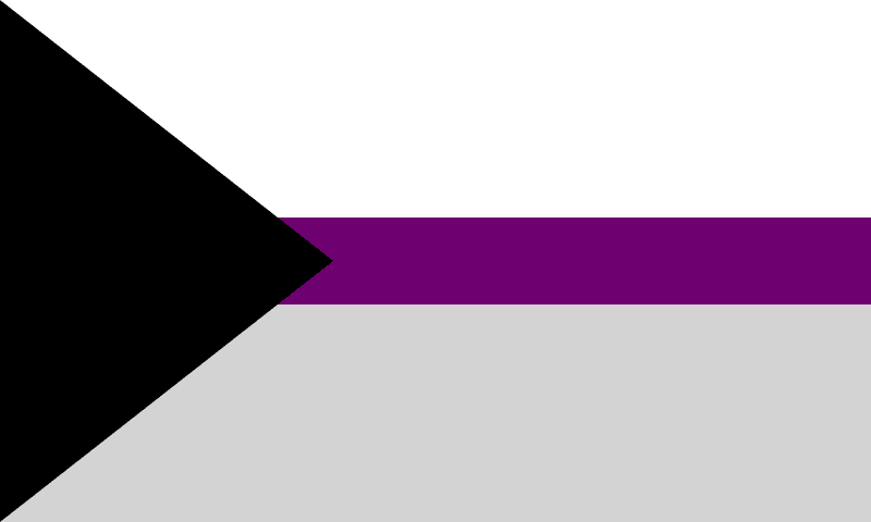 demisexual flag asexual umbrella
